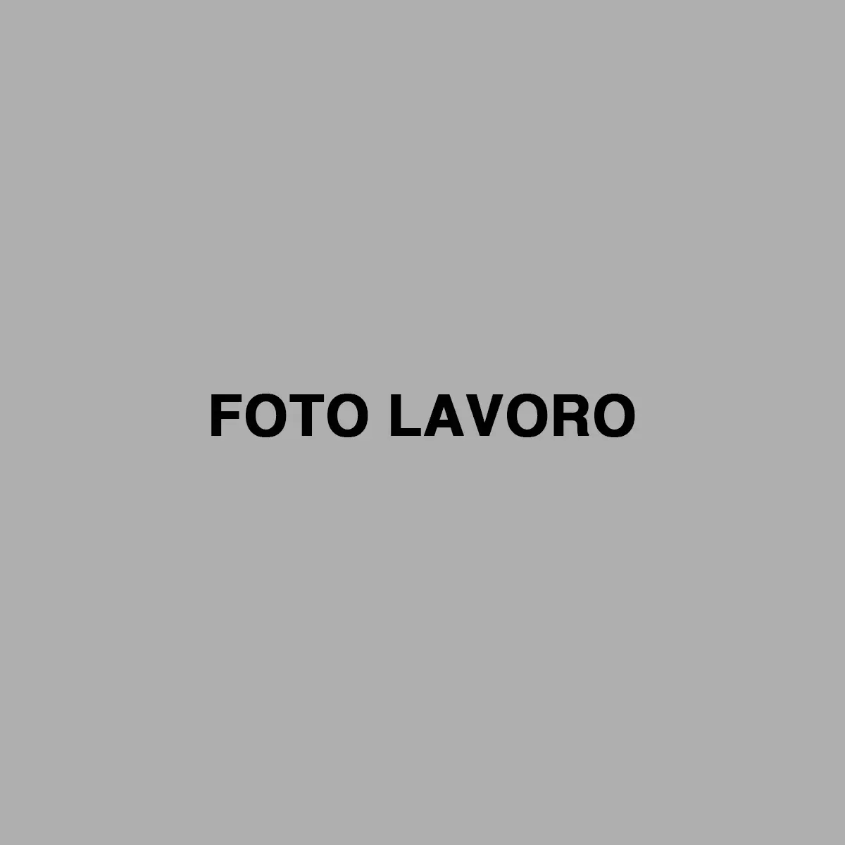 foto-lavoro1